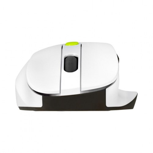 ASUS MD105 VT-GN trådløs mus - højrehåndet, RF + Bluetooth, 2.400 DPI