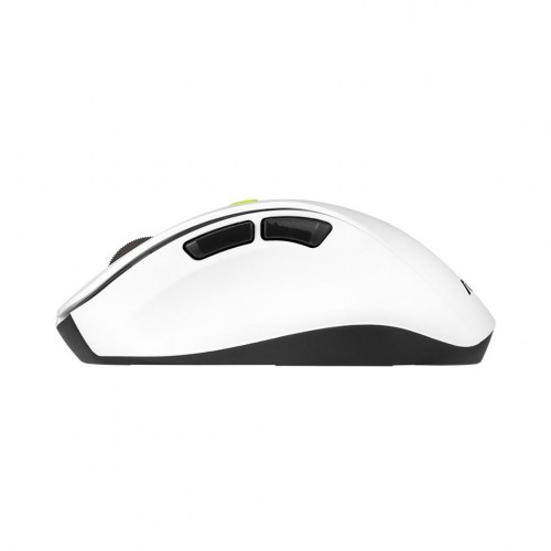 ASUS MD105 VT-GN trådløs mus - højrehåndet, RF + Bluetooth, 2.400 DPI