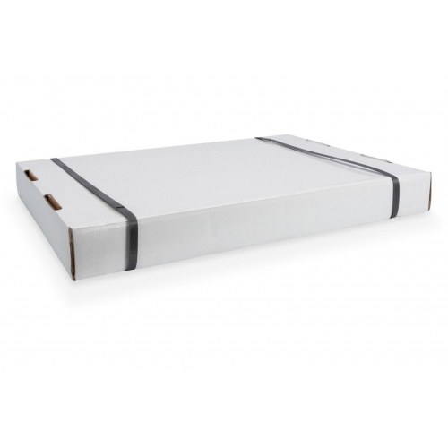 DIGITUS DN-19-12U-S-PD vægmonteret rackskab 12U - 54 × 40 cm, grå