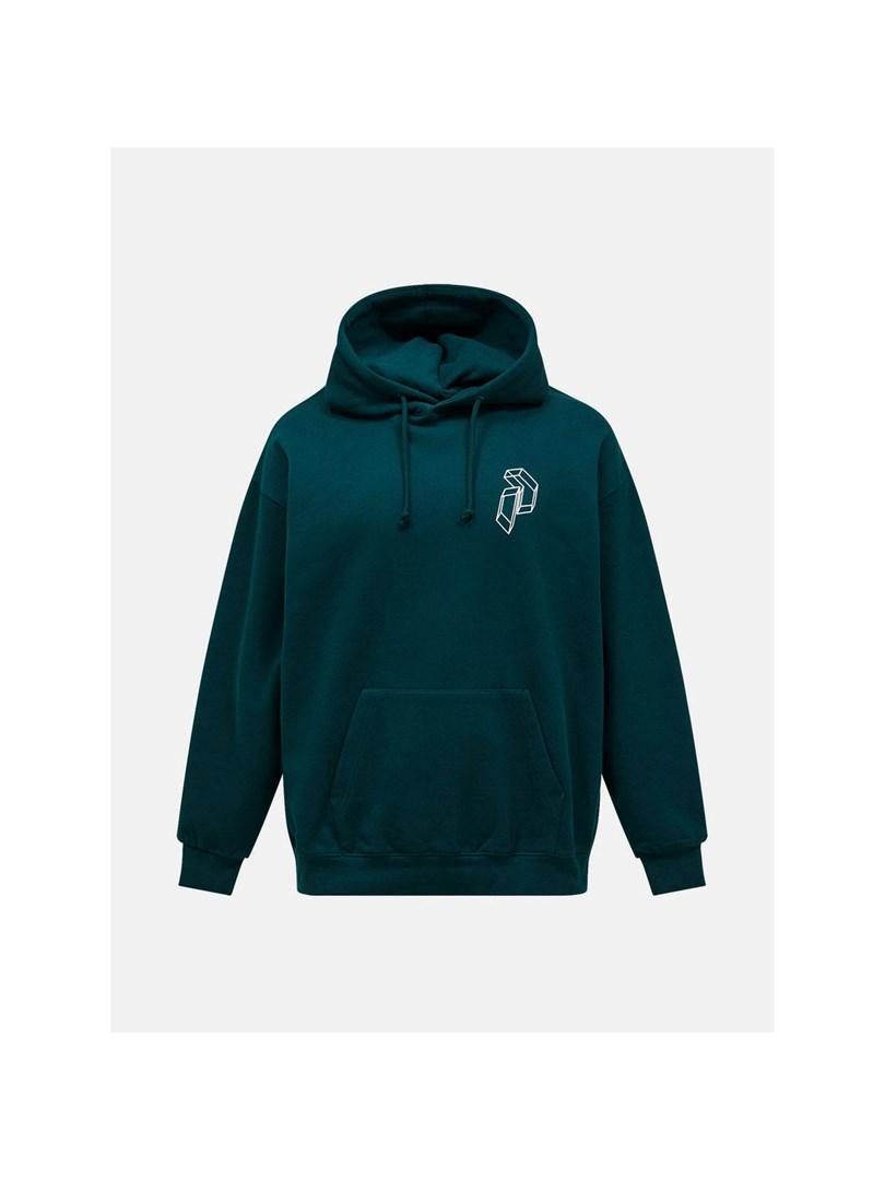 Peak Performance Terry Graphic Hood hættetrøje - grøn, L