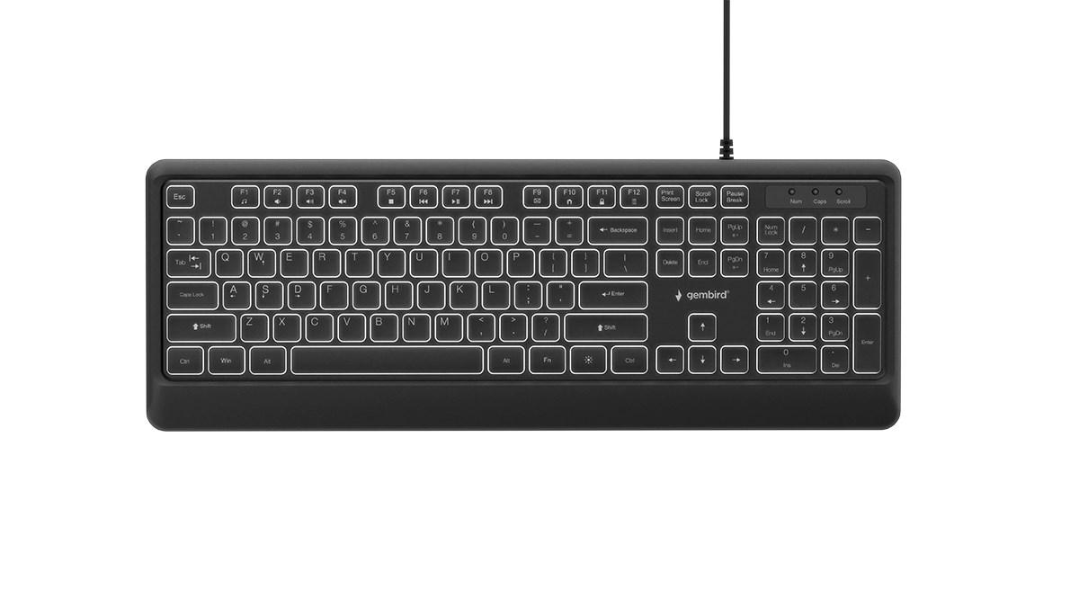 Gembird KB-UML-04 slankt kablet tastatur med LED-baglys - sort, US-layout
