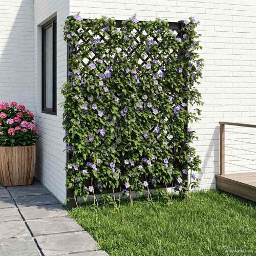 Trellis med Spids Antracit 99 x 6 x 165 cm PP