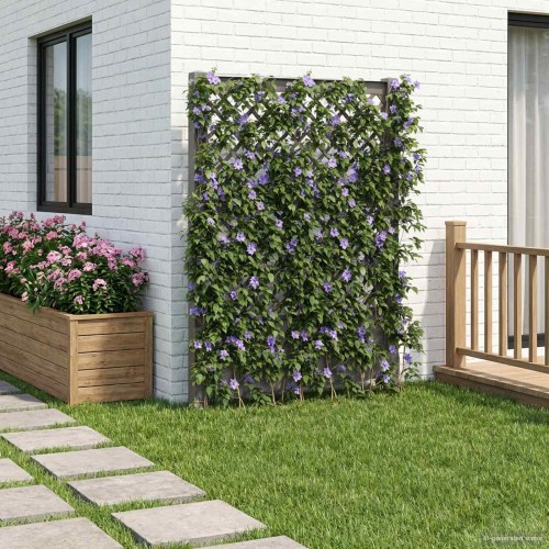 Trellis med Spids Grå 99 x 6 x 165 cm PP