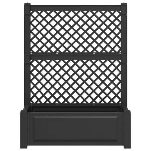 Stor blomsterkasse med espalier Antracit 99,5 x 43 x 133,5 cm