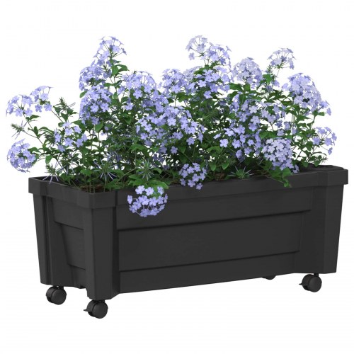 Calypso plante med hjul Antracit 79 x 35 x 33 cm PP