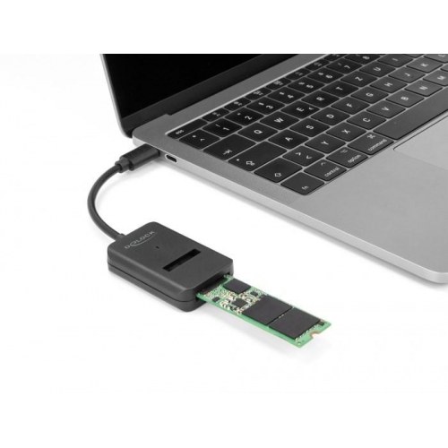 DELOCK Combo-konverter til M.2 NVMe PCIe eller SATA SSD - USB-C 10 Gbps