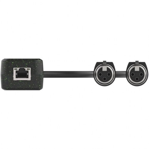 Turtle AV Dual XLR-indgang - 2-kanals analog XLR til Dante audio-adapter