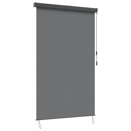 Udendørs rullegardin - lysegrå 160 × 250 cm i stof og aluminium