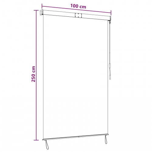 Udendørs rullegardin lysegrå 100 x 250 cm i stof og aluminium