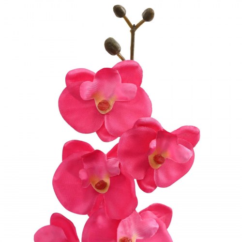 Kunstig orkidé plante Rød 36 x 10 x 30 cm Stof, PE og PEVA