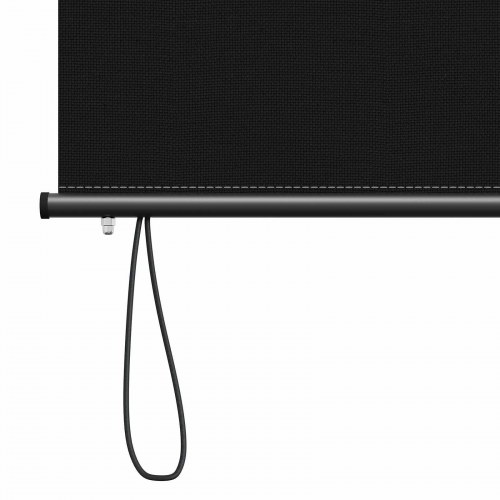 Udendørs rullegardin - sort 100 × 250 cm i stof og aluminium