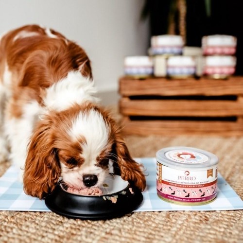 PERRO Junior vådfoder - Svinekød med gulerod, 410 g