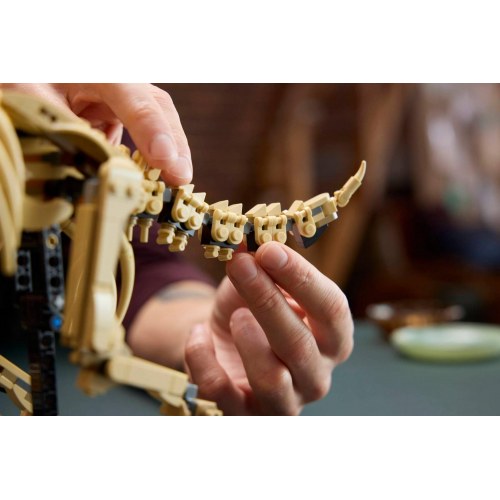 LEGO Jurassic World 77985 Dinosauriefossiler: Triceratops - byggesæt til voksne (18+)