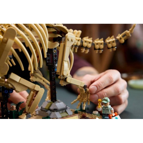 LEGO Jurassic World 77985 Dinosauriefossiler: Triceratops - byggesæt til voksne (18+)