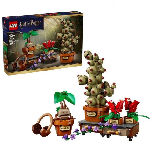 LEGO Harry Potter 76474 - Hogwarts’ herbologiske planter (817 dele)