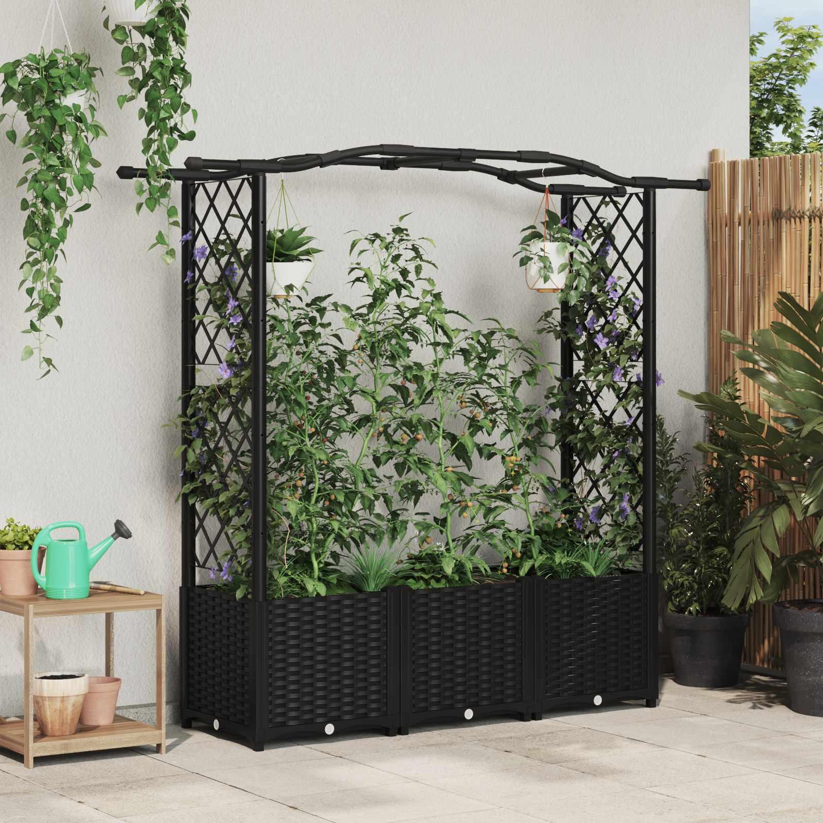 Hævet bed med trellis og buet tag - sort PP 164 × 40 × 138 cm billede