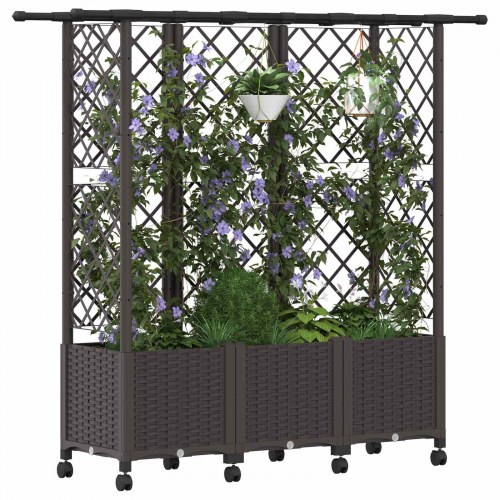 Hævet bed med trellis og tag - brun 163,5 × 40 × 142 cm (PP)