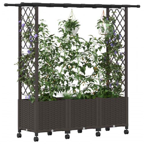 Hævet bed med trellis og tag - brun PP, 162,5 × 40 × 142 cm