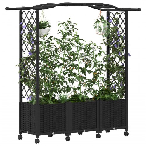 Hævet bed med trellis og tag - sort PP, 164 × 40 × 144 cm
