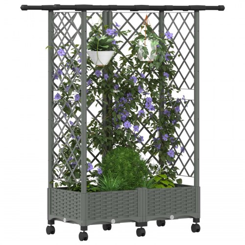 Hævet bed med trellis og tag - lysegrå 124 × 40 × 127 cm (PP)