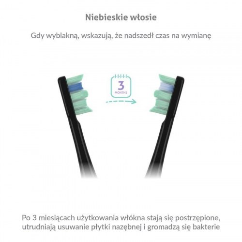 TrueLife SonicBrush Clean30 - sort sonisk tandbørste til voksne