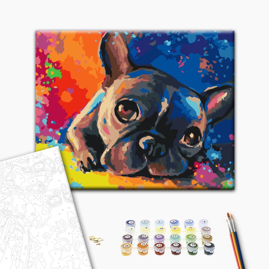 Mal efter tal billede med farverig fransk bulldog 50 x 40 cm billede