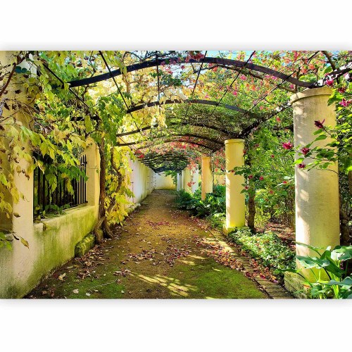 Fototapet Pergola - fototapet til væg med havegang