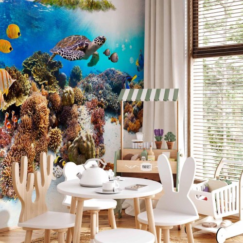 Fototapet Cay med havskildpadde og koralrev