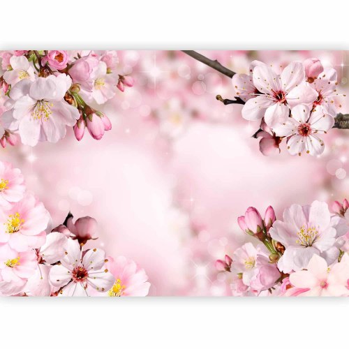 Fototapet med forårs-kirsebærblomster