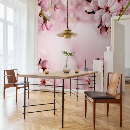 Fototapet med forårs-kirsebærblomster