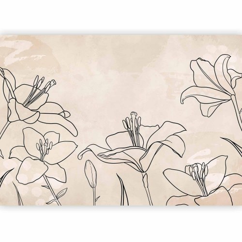 Fototapet Skitse af natur - minimalistisk lineart med liljeblomster på beige baggrund