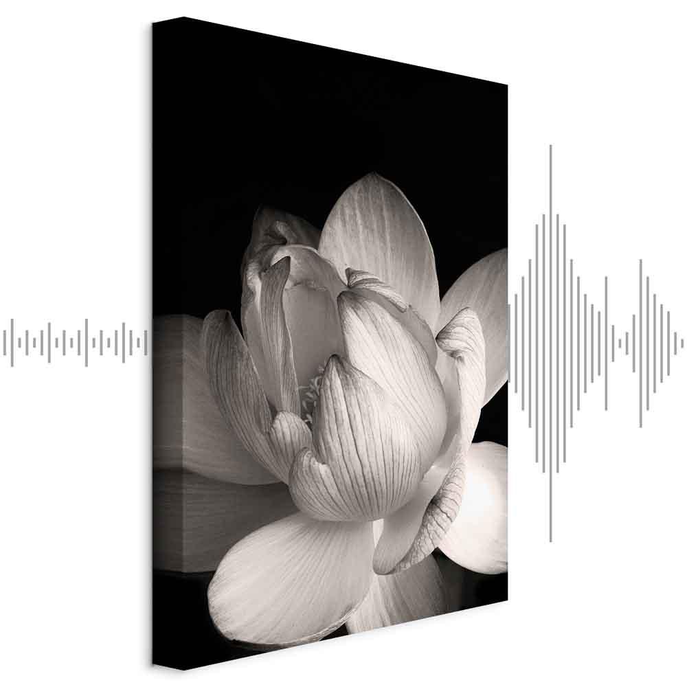Blomstermotiv i sort-hvid på lærred - Delikate kronblade i naturen - 60 x 90 cm - Akustisk billede