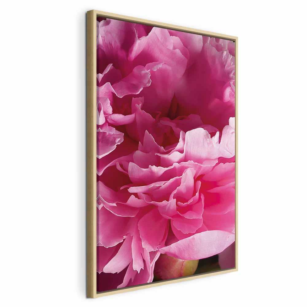 Lærredsbillede Skønhedens blomstring - Pink pæon, enkeltpanel - 40 x 60 cm - I en naturlig træramme billede