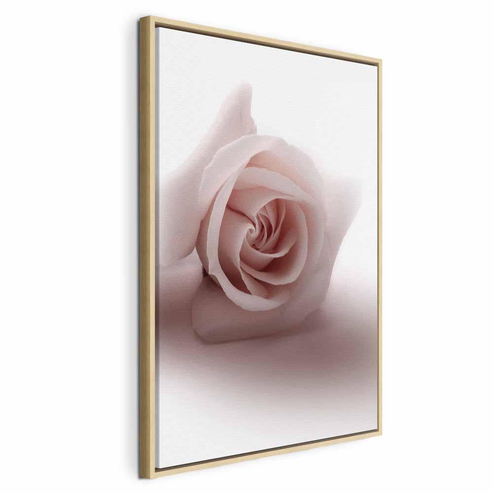 Lærredsbillede Floral Glamour Glow - Delikat pastelrosa rose - 80 x 120 cm - I en naturlig træramme billede
