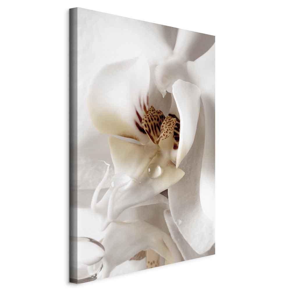 Billede på lærred med blomstermotiv - En dråbe af drømme lodret - 20 x 30 cm - Standard billede