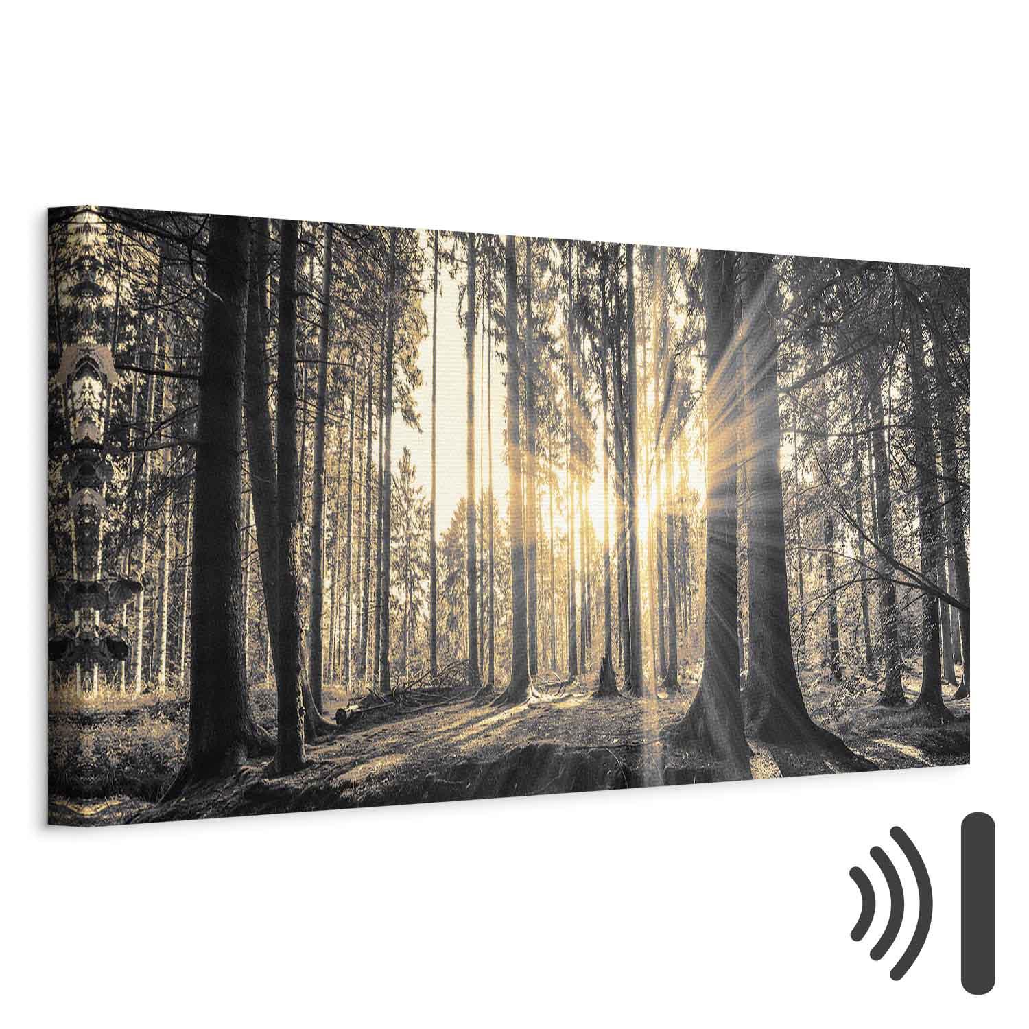 Lærredsbillede Forest Sun med skovmotiv - 120 x 40 cm - Akustisk billede