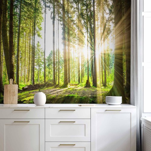 Fototapet Forest Tales med skovmotiv