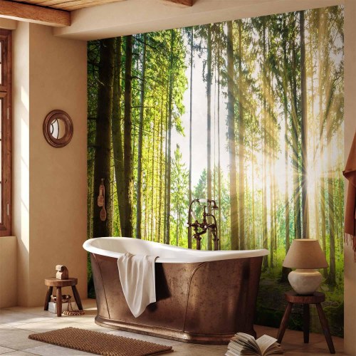 Fototapet Forest Tales med skovmotiv