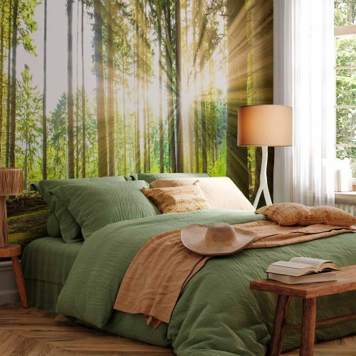 Fototapet Forest Tales med skovmotiv