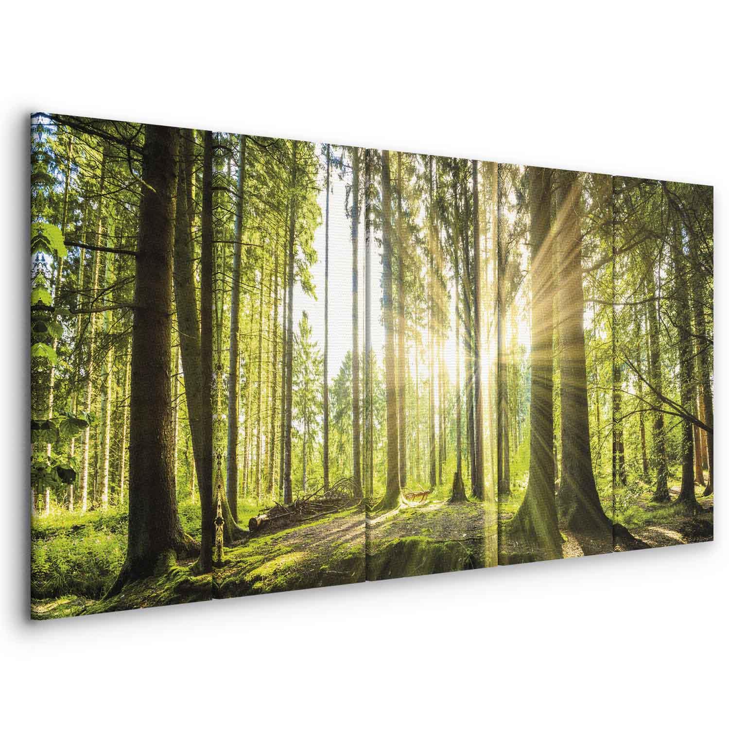 Billede på lærred Sunlight - landskab 200 x 80 / 225 x 90 cm - 225 x 90 cm - Akustisk billede