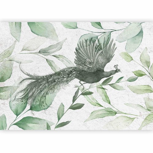 Fototapet Flight of a Peacock - Third Variant