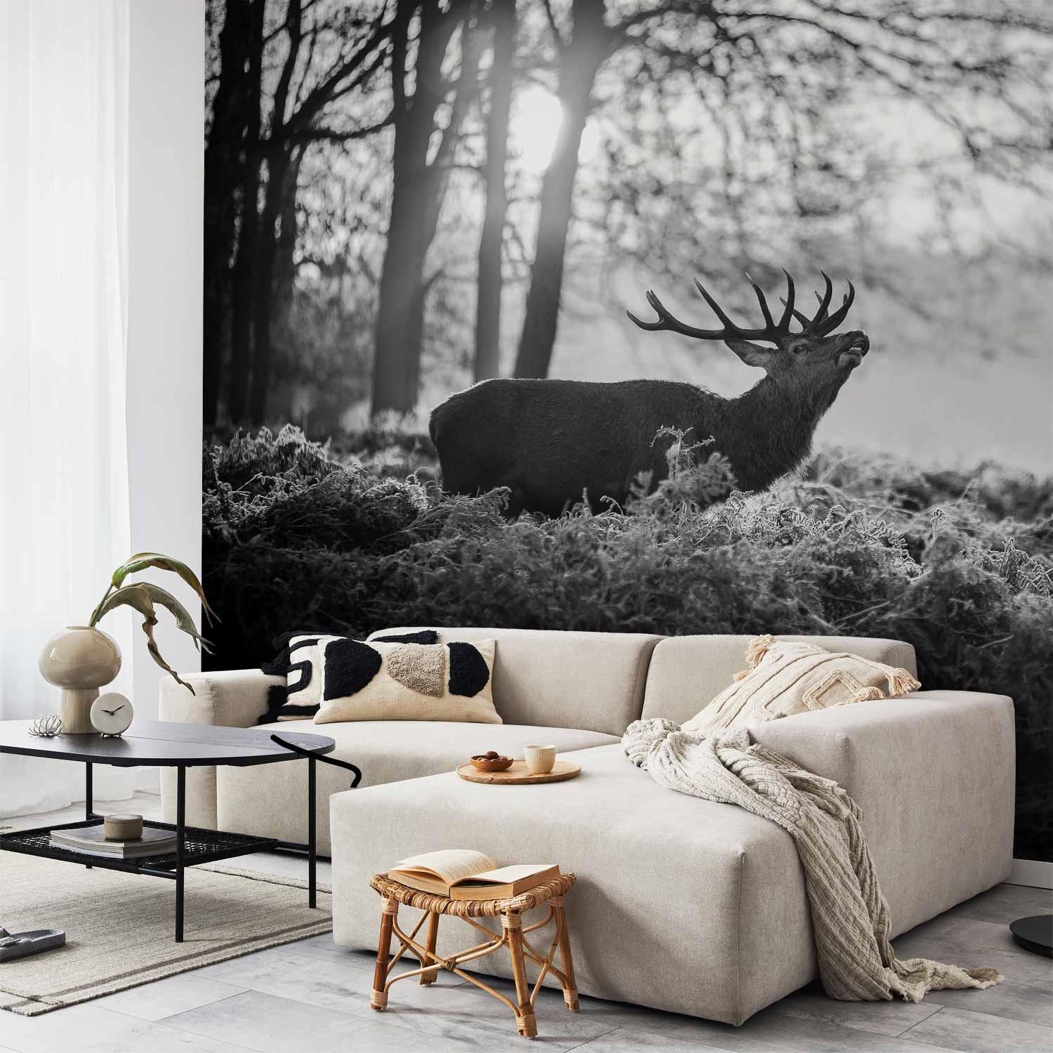 Fototapet med hjorte i morgenen - vægdekoration med naturmotiv til flere rum - 500 x 350 cm - Premium