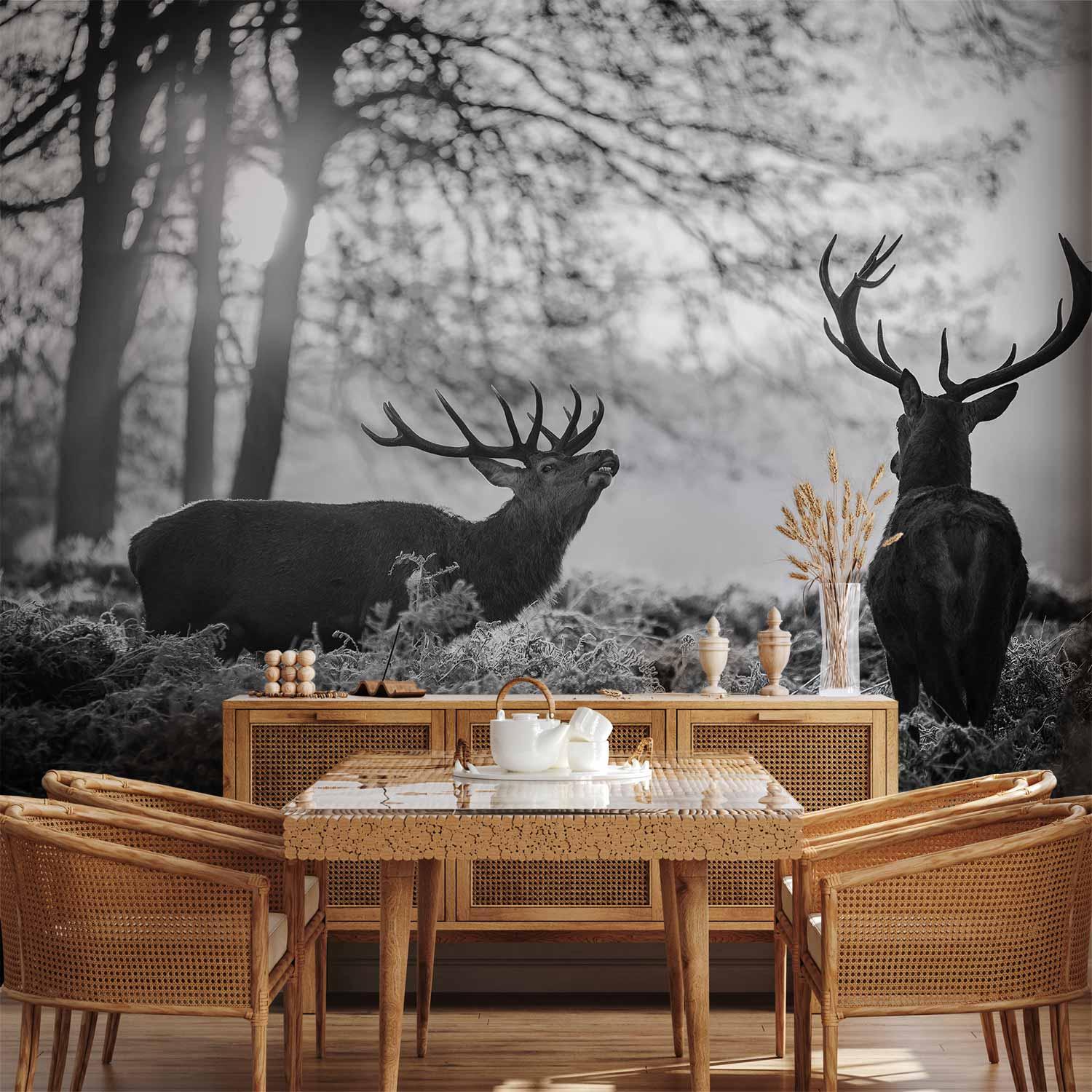 Fototapet med hjorte i morgenen - vægdekoration med naturmotiv til flere rum - 500 x 350 cm - Vandtæt