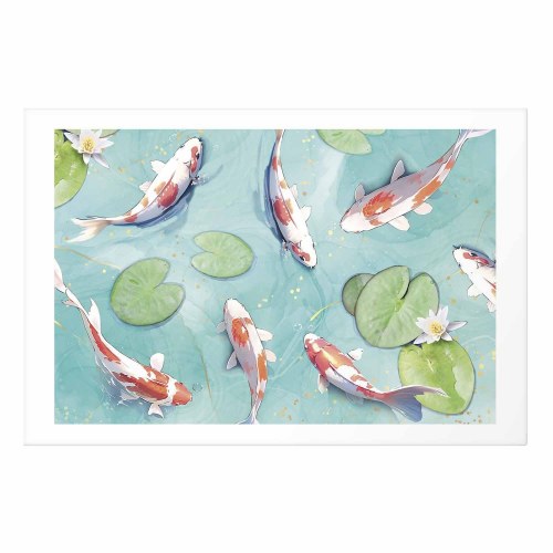 Plakat med koi-fisk - Dam i Japan