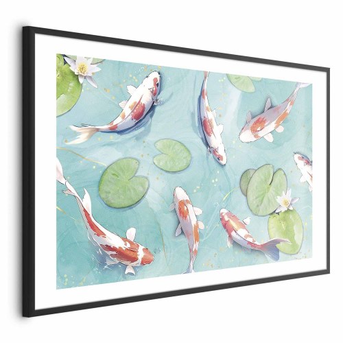 Plakat med koi-fisk - Dam i Japan