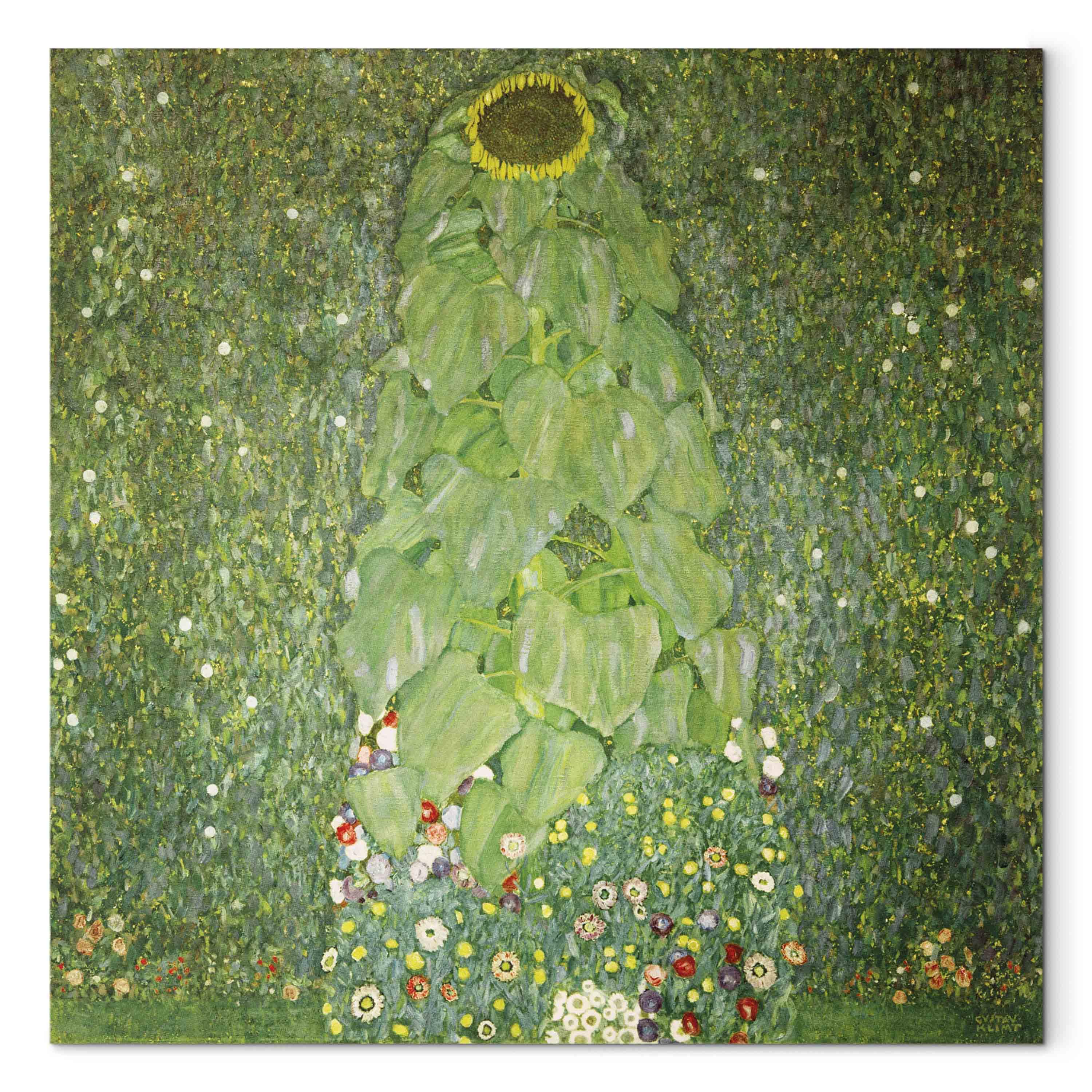 Gustav Klimt Solsikken billede på lærred - 40 x 40 cm - Akustisk billede