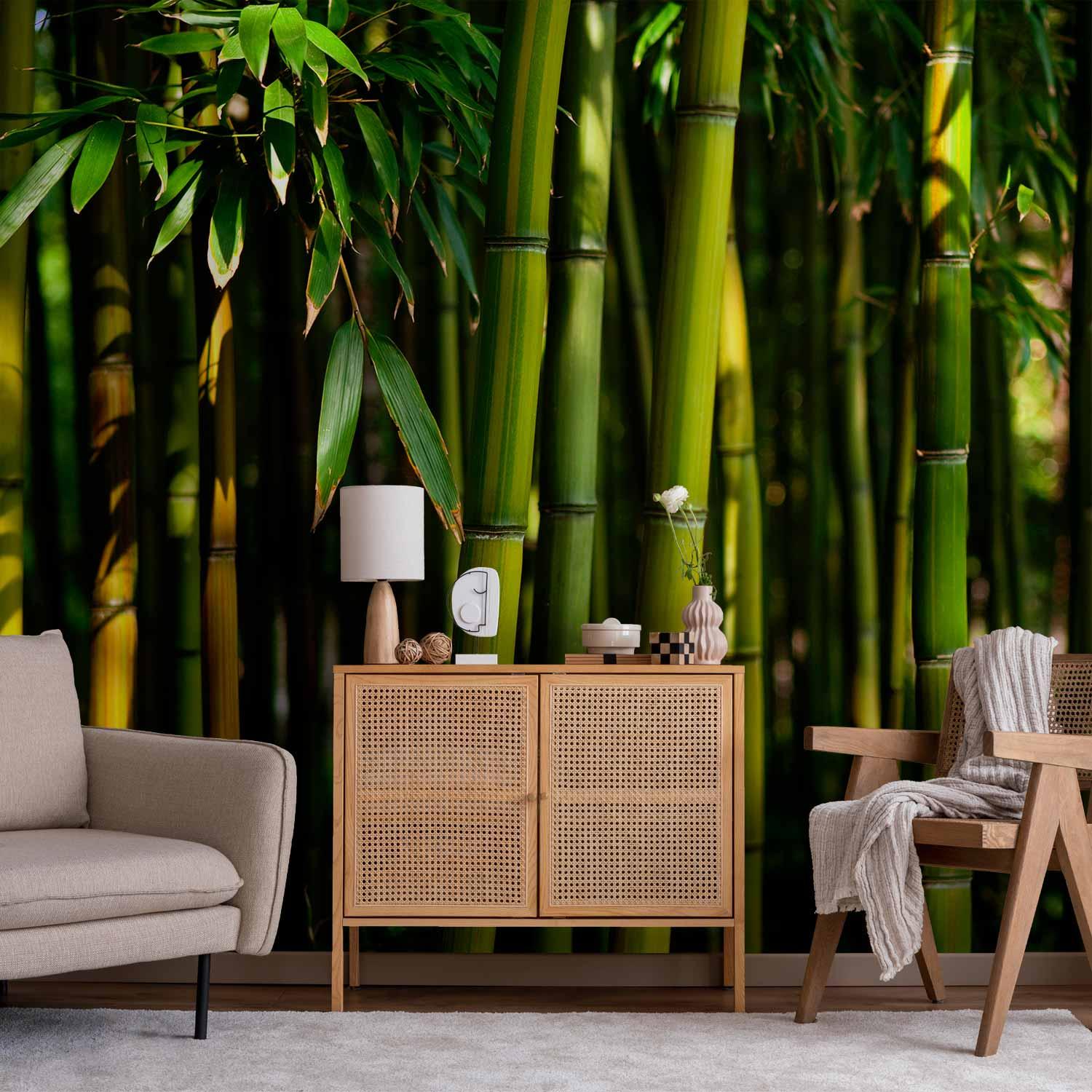 Fototapet - Eucalyptus allé med bambusskov i frodige grønne nuancer - 400 x 280 cm - Standard billede