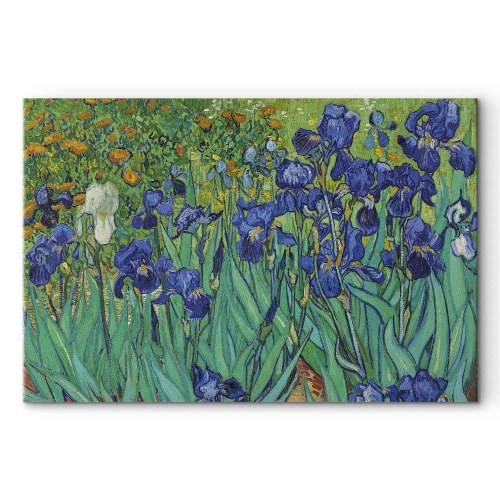 Vincent van Gogh Iriser billede på lærred