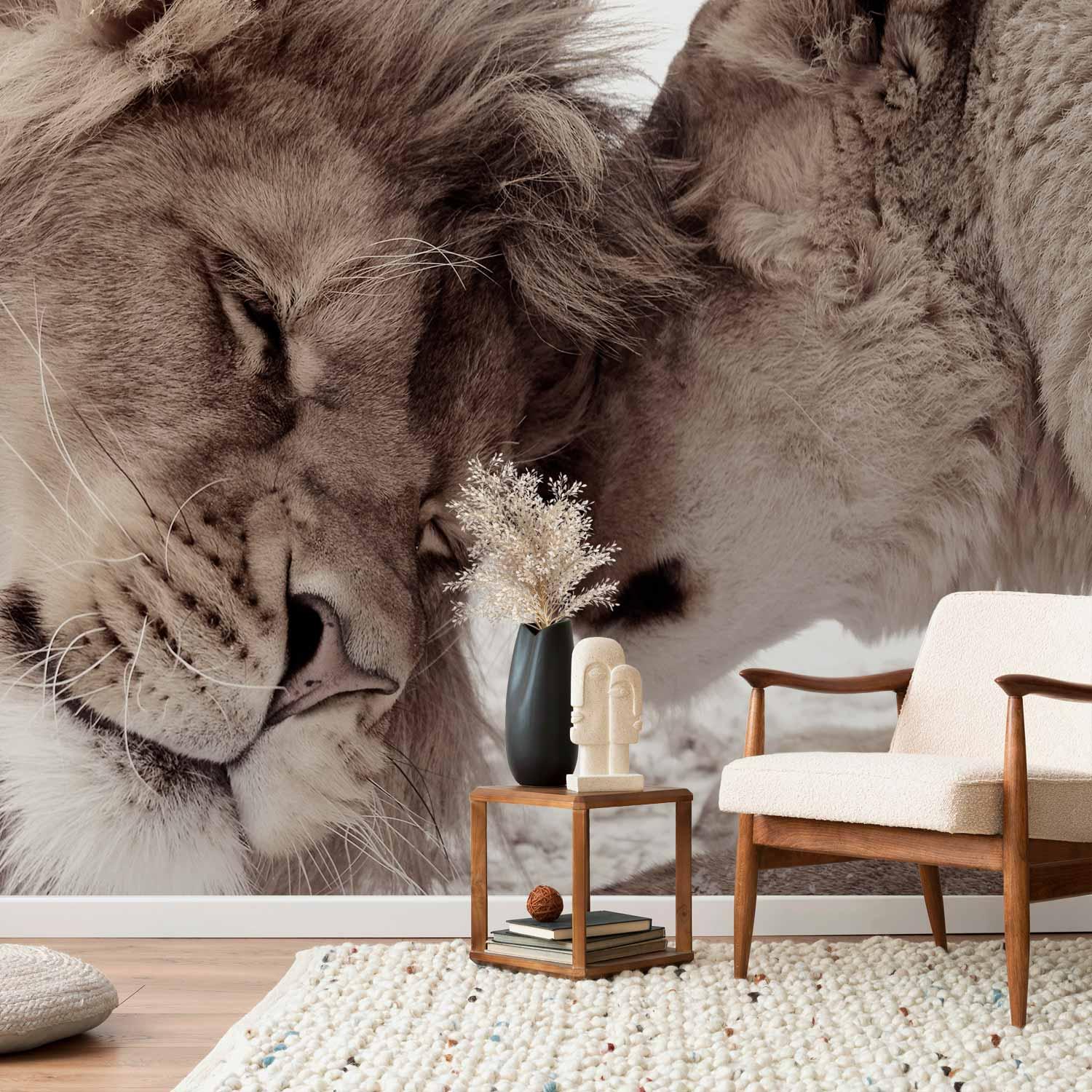Fototapet Lion Tenderness Sepia - vægdekoration med løvemotiv - 500 x 350 cm - Premium