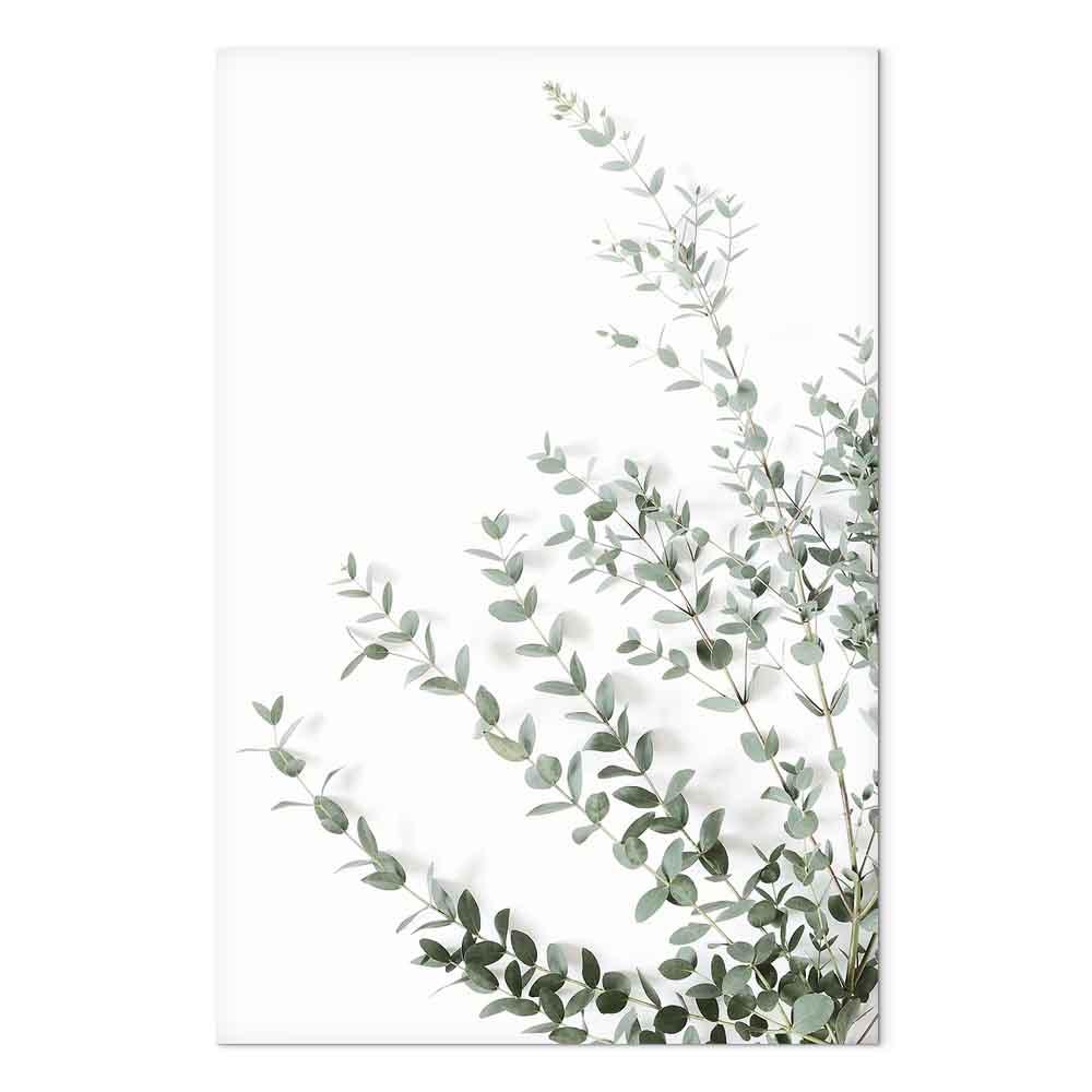 Lærredsbillede Eucalyptus Parvifolia lodret med blade - 80 x 120 cm - Premium Print billede